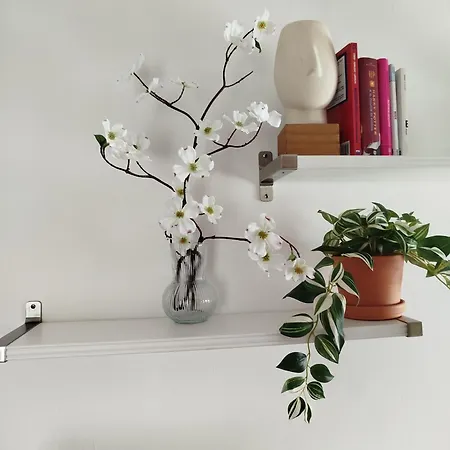 Casa Lilly בית נופש *