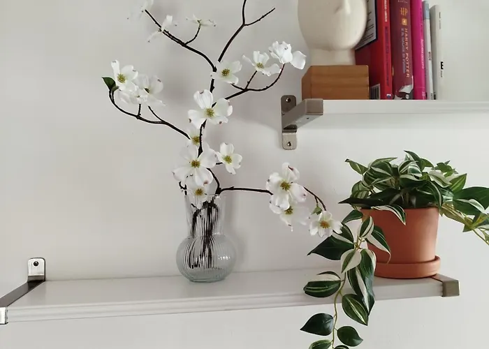 Casa Lilly Holiday home *